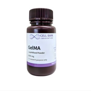 GelMA Hydrogel Bioink 2 grams